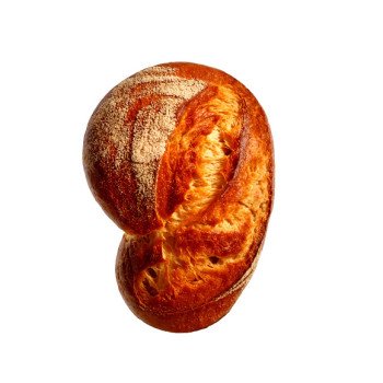 Egestas Pussa