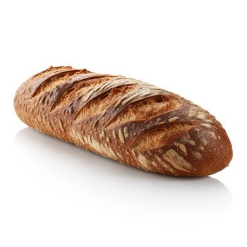 Egestas Pussa