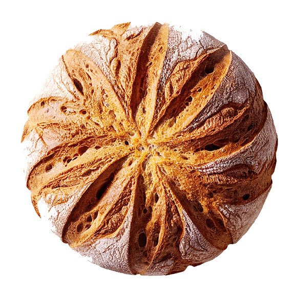 Laoreet Rhoncūs